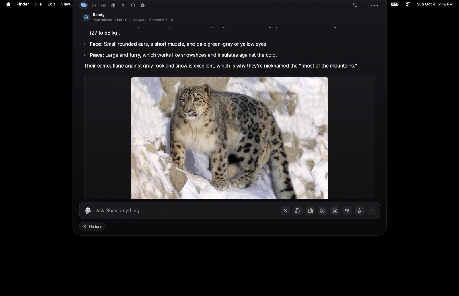 Ghost answering "What does a snow leopard look like?" from the top-center notch in the Noir theme, with the photograph inline in the answer